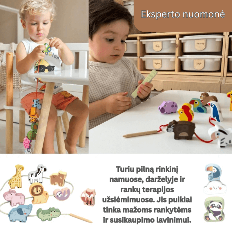 Medinis vaisių vėrimo žaidimas 13 el, CLASSIC WORLD