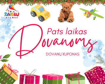 Žaislų kalno dovanų kuponas