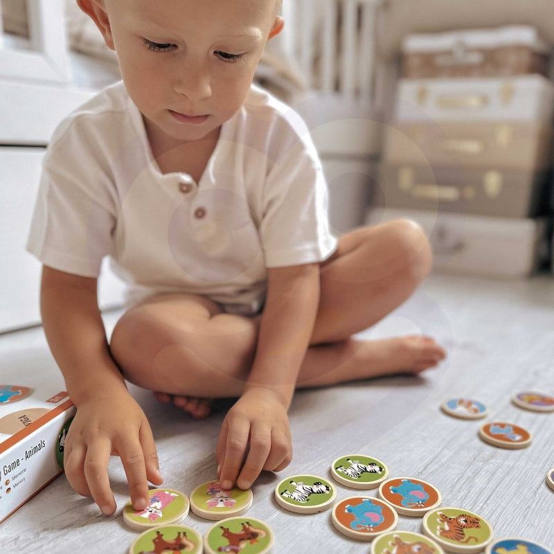 Edukacinis žaidimas, surask dvi poras, Viga