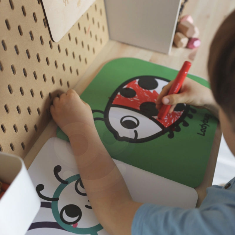 Edukacinė kūdikių dėžė 6in1 nuo 36 mėnesių, Tooky Toy