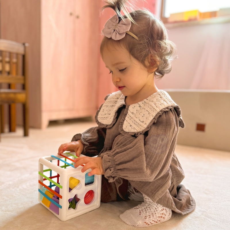 Lankstus sensorinis kubas rūšiuoklė „Spalvotos Formos“, Woopie