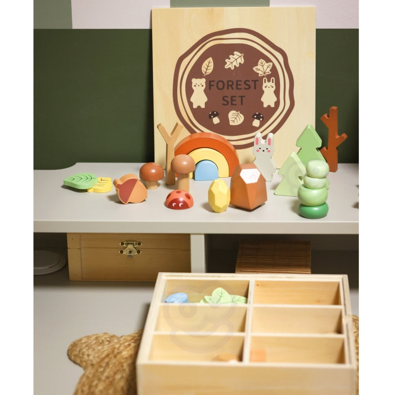 Medinių kaladėlių rinkinys su figūrėlėmis, miškas, TOOKY TOY