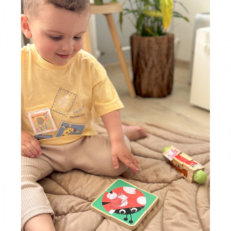 Lavinamasis Montessori rinkinys 7in1, Tooky Toy