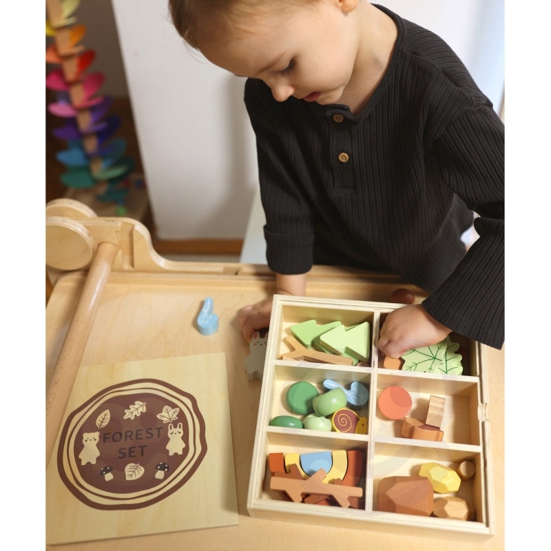 Medinių kaladėlių rinkinys su figūrėlėmis, miškas, TOOKY TOY