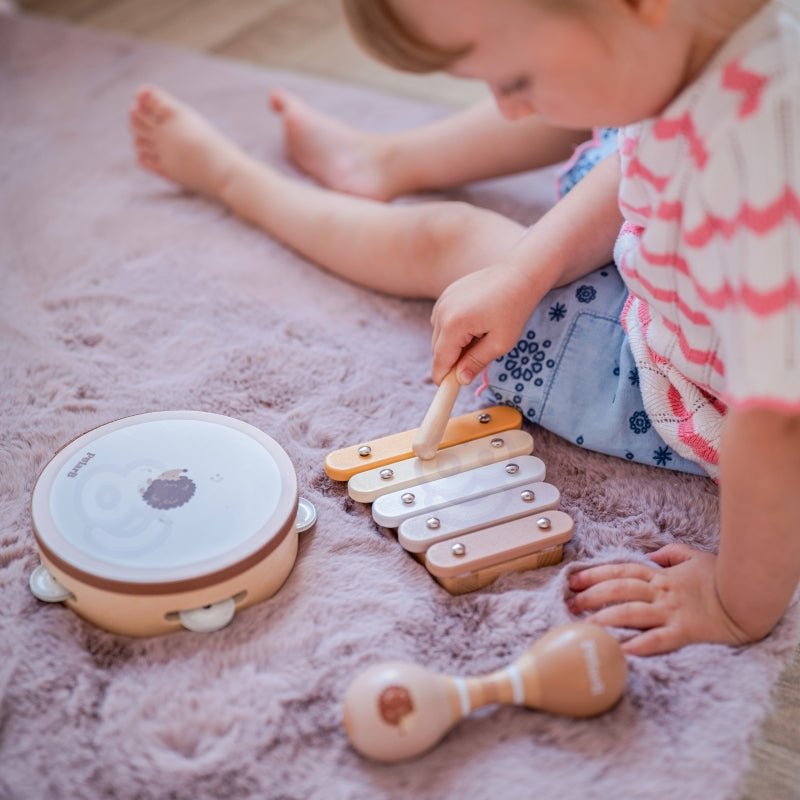 Muzikos instrumentų rinkinys vaikams su ežiuko motyvu, VIGA PolarB