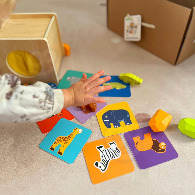 XXL edukacinis Montessori žaidimų dėžutės rinkinys 7in1 FSC WOOPIE GREEN