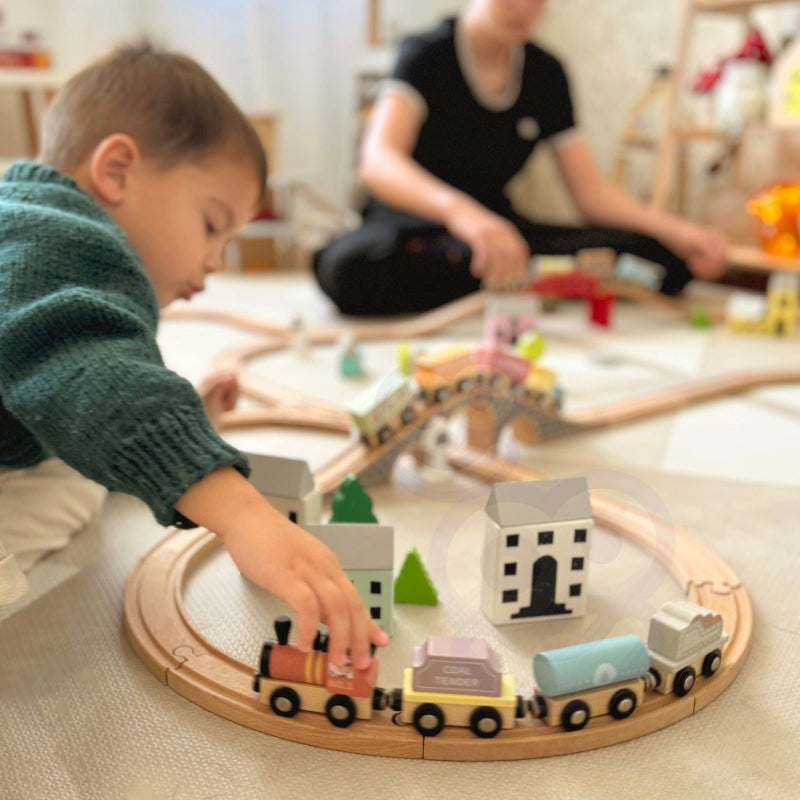 Medinių traukinių ir vagonų rinkinys dežutėje, Tooky Toy