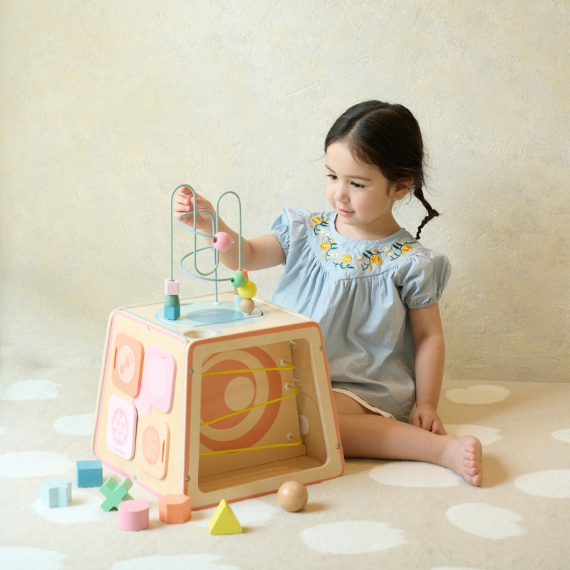 Medinis edukacinis kubas 6in1, CLASSIC WORLD