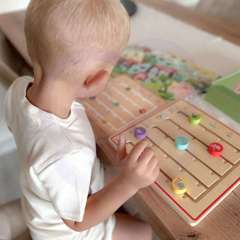 „TOOKY TOY“ medinis mokymosi žaidimas gyvūnėliams skaičiuoti