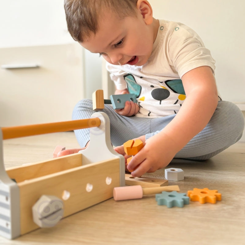 Medinių įrankių dėžė Viga PolarB