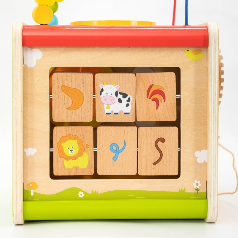 Medinis daugiafunkcinis edukacinis kubas vaikams 5in1, Viga