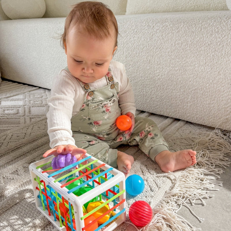 Lankstus sensorinis kubas rūšiuoklė 13el., Woopie