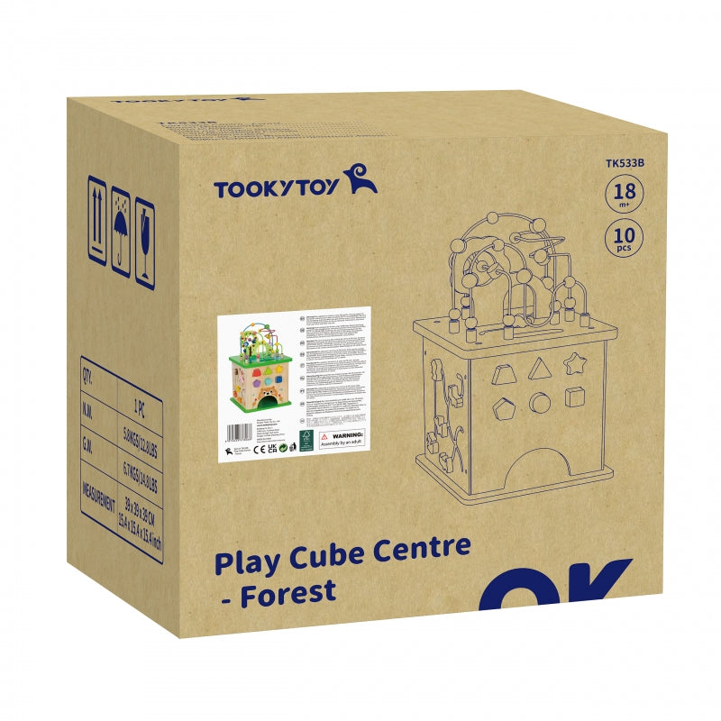 Edukacinio kubo su labirintu rinkinys, TOOKY TOY