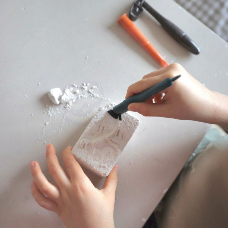 Mažasis archeologo kasinėjimų rinkinys, 6 dinozaurų skeletai, WOOPIE