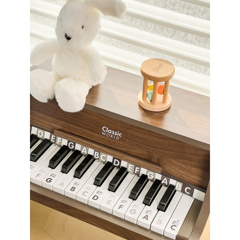 Medinis klasikinis pianinas vaikams su mokomąja knyga, CLASSIC WORLD