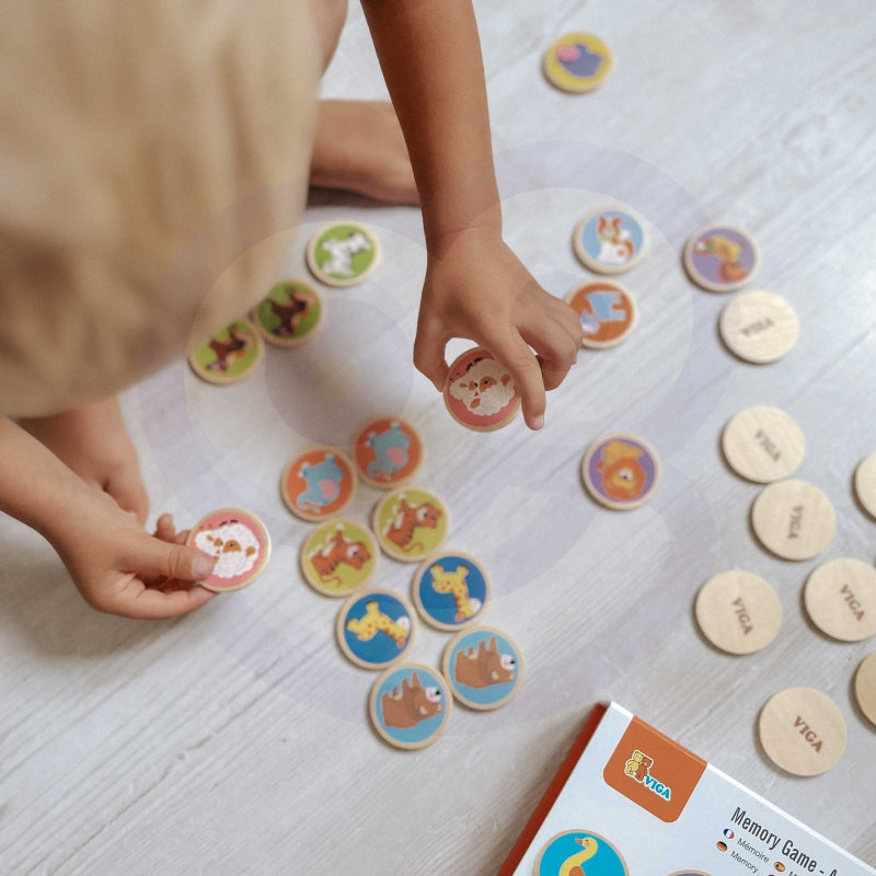 Edukacinis žaidimas, surask dvi poras, Viga