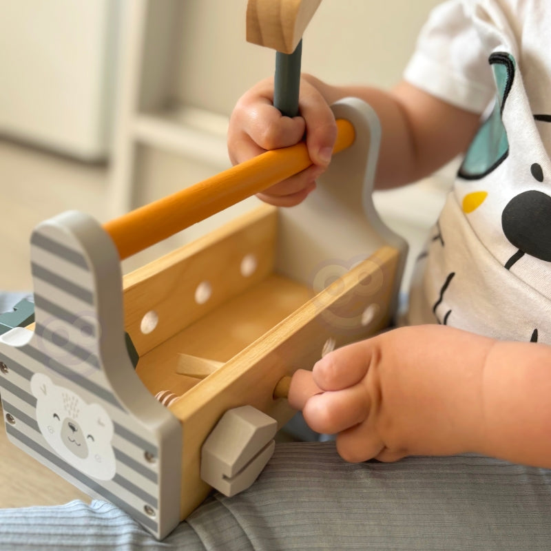 Medinių įrankių dėžė Viga PolarB