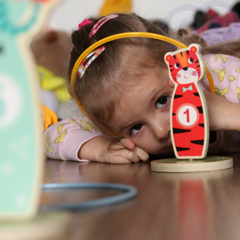 Medinis žiedų mėtymo žaidimas Tooky Toy