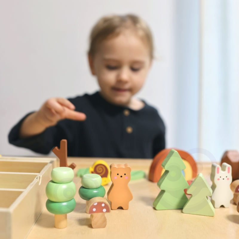 Medinių kaladėlių rinkinys su figūrėlėmis, miškas, TOOKY TOY