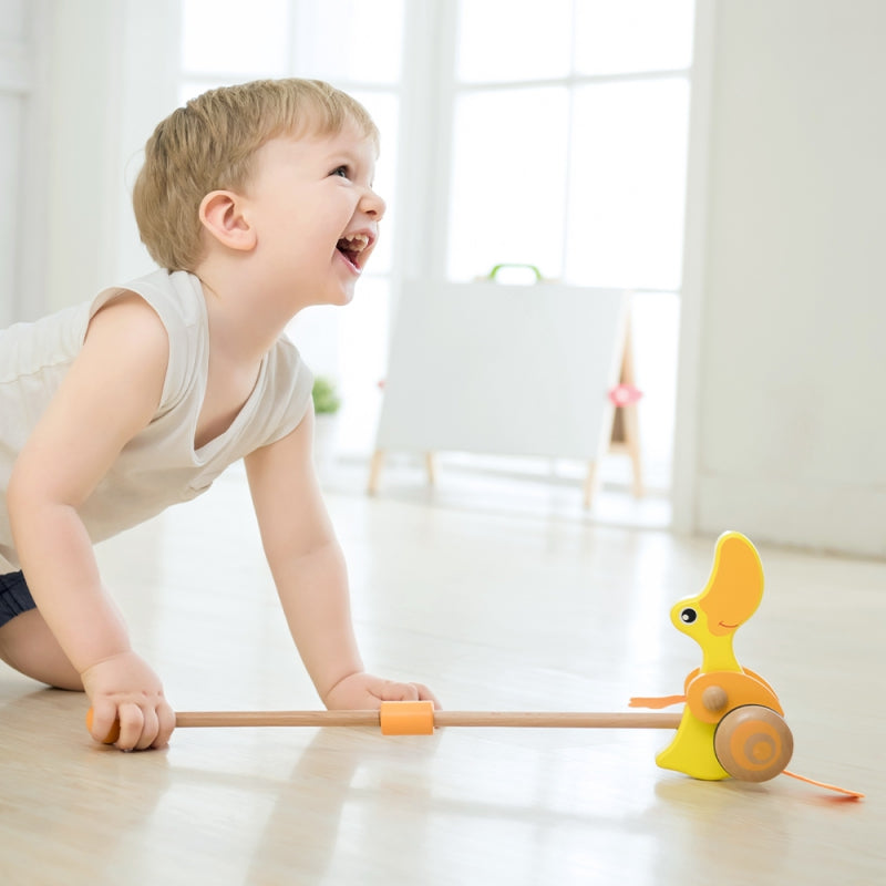 Medinis anties stumtukas, Classic World