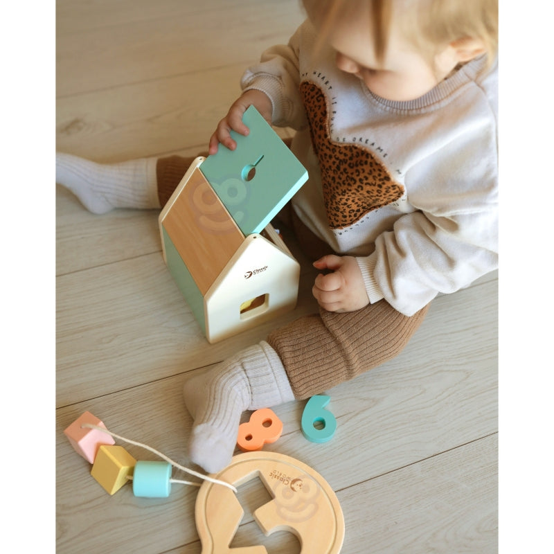 Kūdikių lavinamųjų žaislų rinkinys 25 el, CLASSIC WORLD