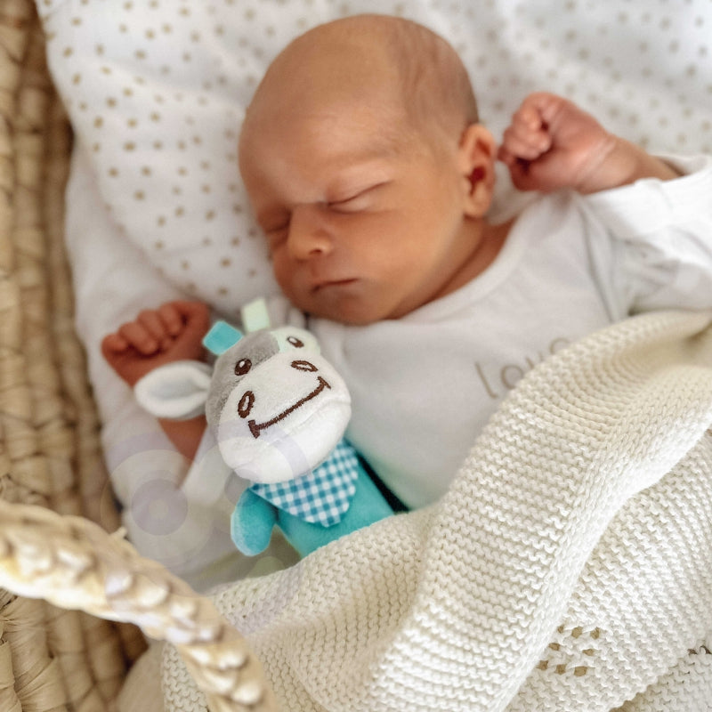 Interaktyvus minkštas žaislas - Buliukas su garso efektais Woopie, mėlynas