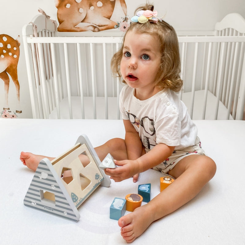 Medinis edukacinis rūšiuoklis Viga PolarB