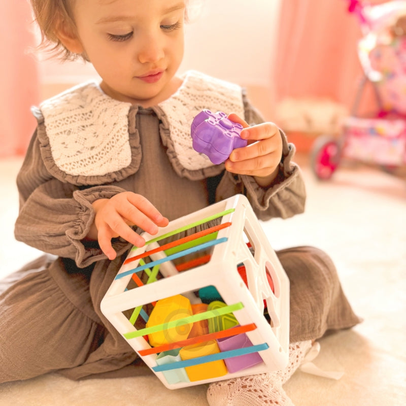 Lankstus sensorinis kubas rūšiuoklė „Spalvotos Formos“, Woopie