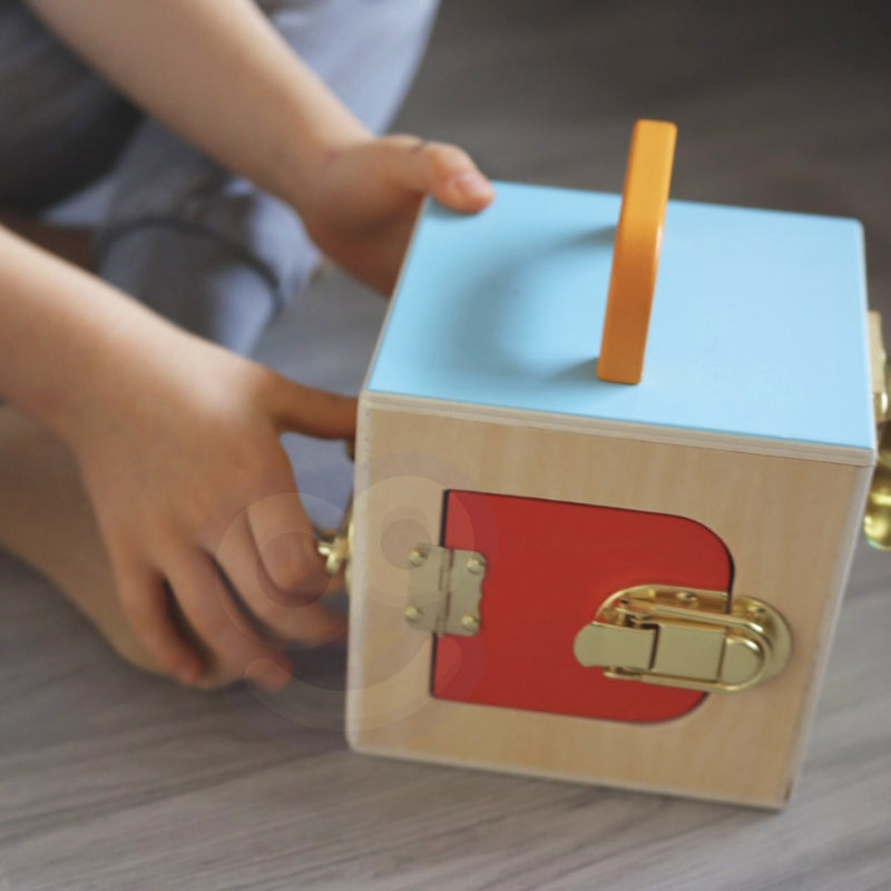 Edukacinė kūdikių dėžė 6in1 nuo 36 mėnesių, Tooky Toy