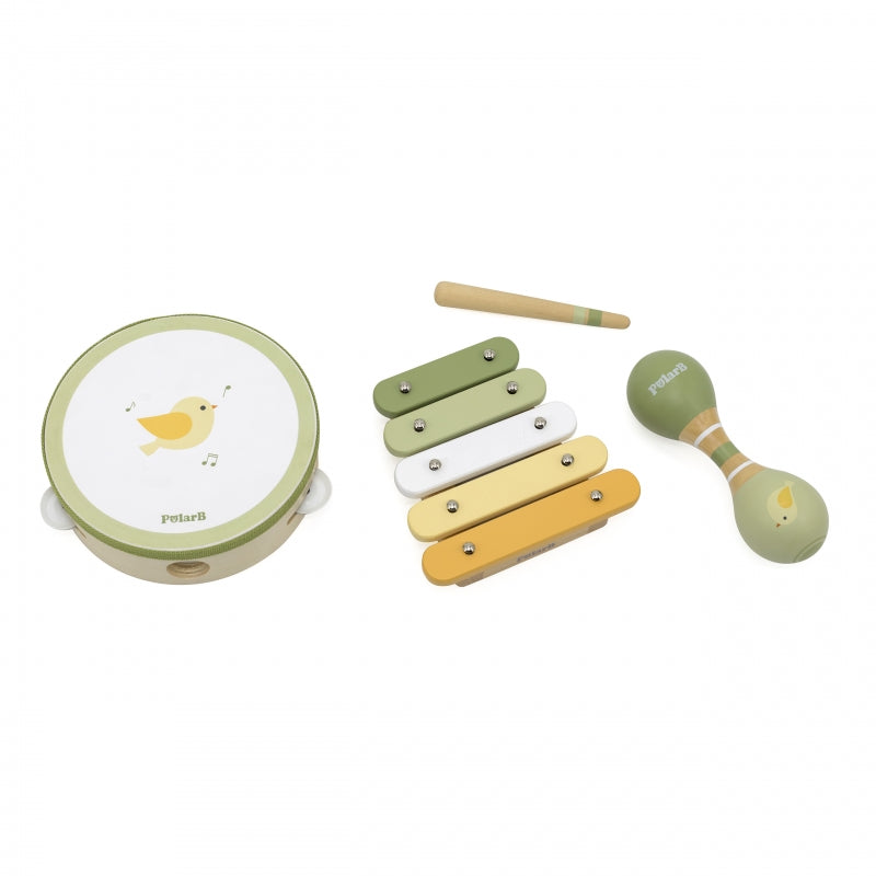 Muzikos instrumentų rinkinys vaikams su paukščio motyvu, VIGA PolarB
