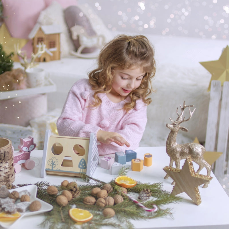 Medinis edukacinis rūšiuoklis Viga PolarB