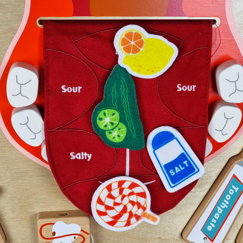 Masterkidz edukacinė lenta, burnos higiena