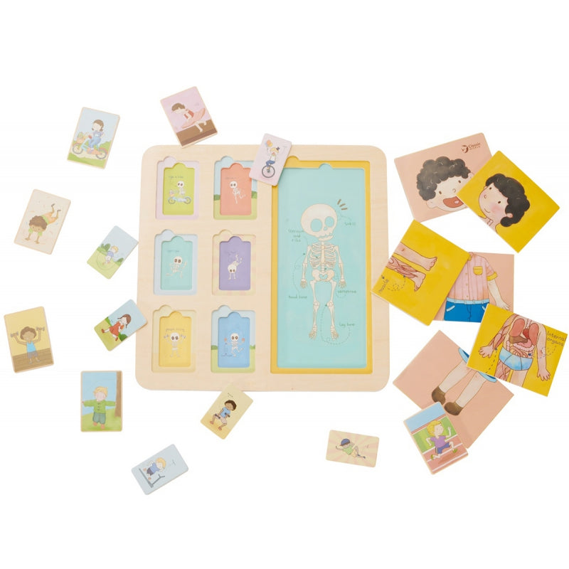 Edukacinė lenta, žmogaus dėlionė CLASSIC WORLD