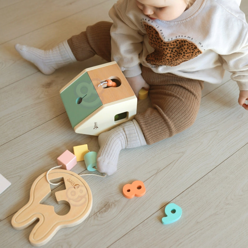 Kūdikių lavinamųjų žaislų rinkinys 25 el, CLASSIC WORLD