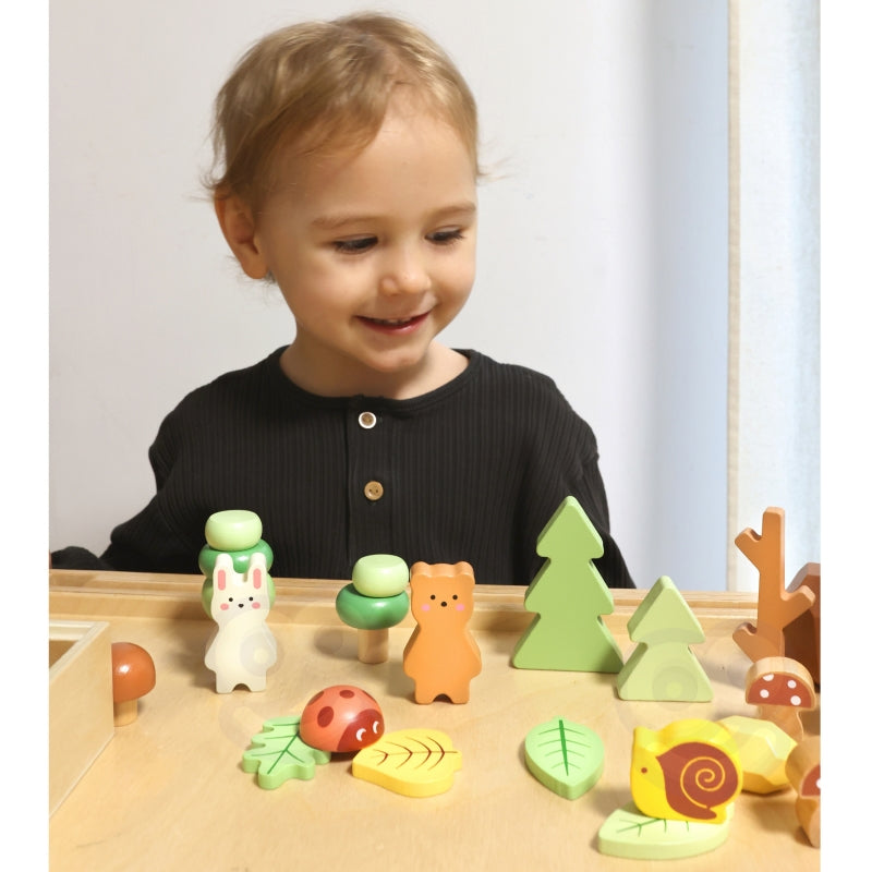 Medinių kaladėlių rinkinys su figūrėlėmis, miškas, TOOKY TOY
