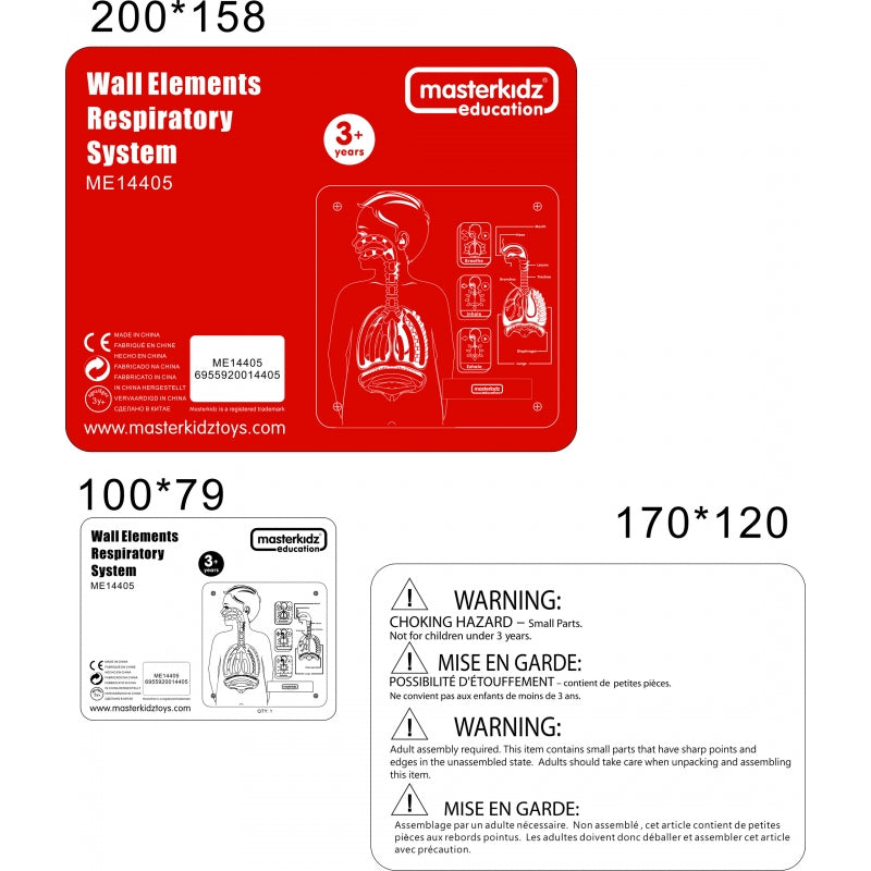 MASTERKIDZ edukacinė lenta, kvėpavimo sistema