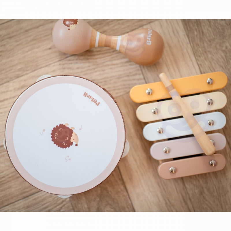 Muzikos instrumentų rinkinys vaikams su ežiuko motyvu, VIGA PolarB