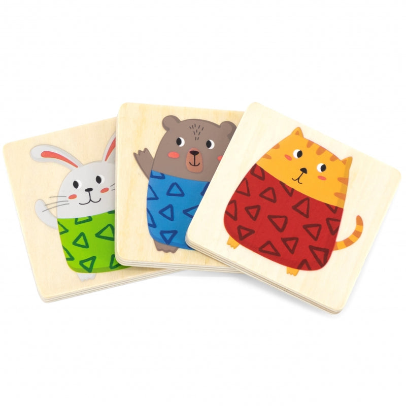 Medinis stalo žaidimas „Surask atitikimus“, Viga