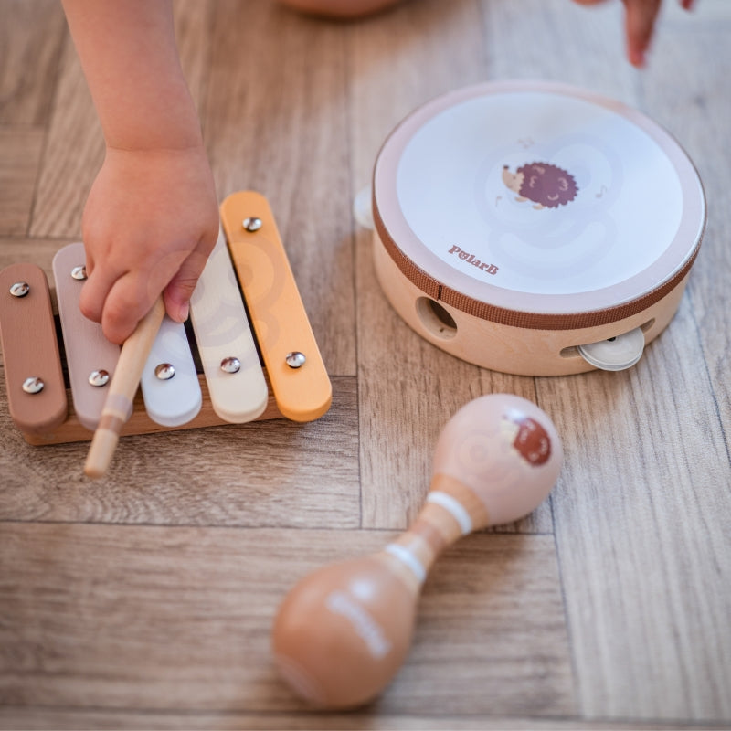 Muzikos instrumentų rinkinys vaikams su paukščio motyvu, VIGA PolarB