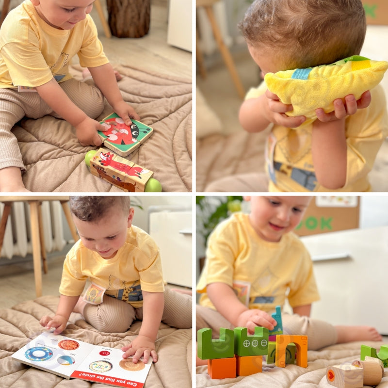 Lavinamasis Montessori rinkinys 7in1, Tooky Toy