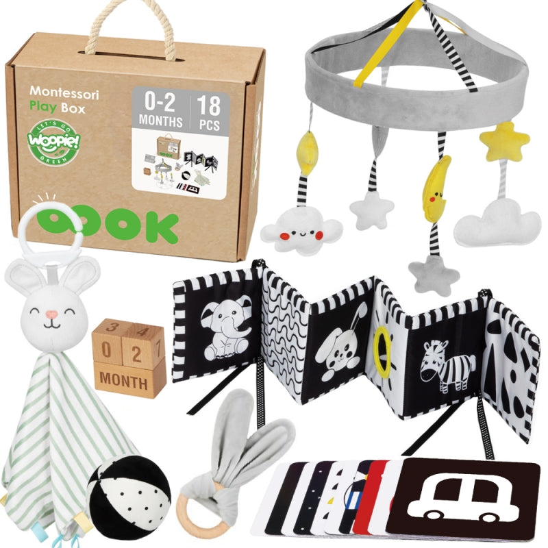 XXL Montessori edukacinė dėžutė vaikams 6in1 FSC, WOOPIE GREEN