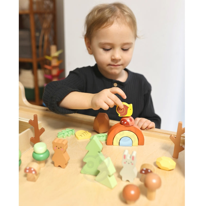 Medinių kaladėlių rinkinys su figūrėlėmis, miškas, TOOKY TOY