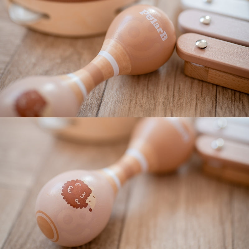 Muzikos instrumentų rinkinys vaikams su ežiuko motyvu, VIGA PolarB