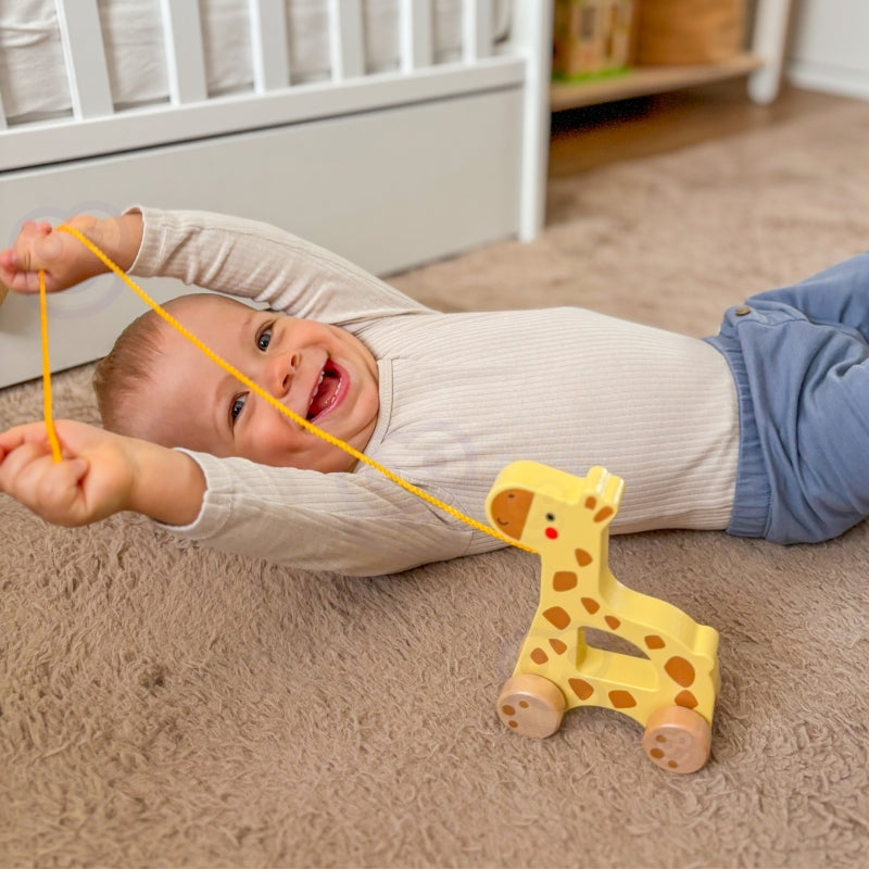 Medinis traukiamas žaislas, žirafa, TOOKY TOY