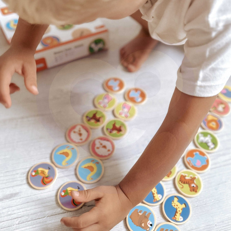 Edukacinis žaidimas, surask dvi poras, Viga