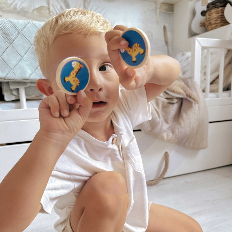 Edukacinis žaidimas, surask dvi poras, Viga