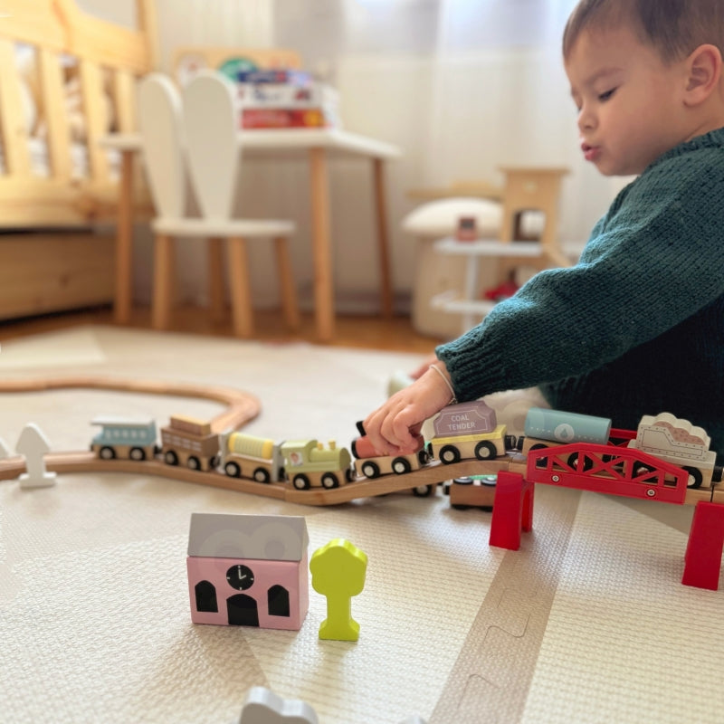 Medinių traukinių ir vagonų rinkinys dežutėje, Tooky Toy