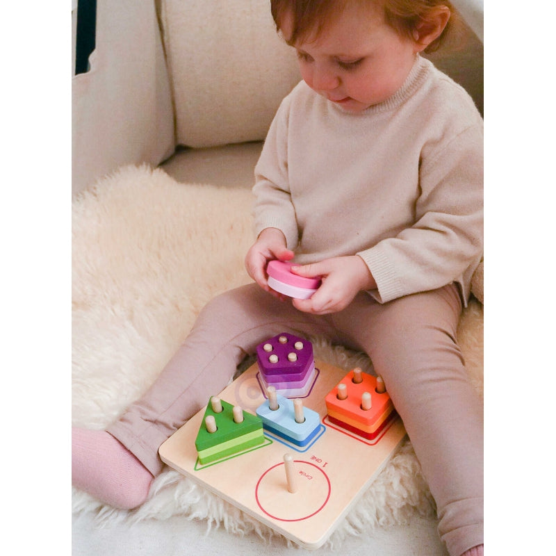 Medinis Montessori geometrinių figųrų rūšiuoklis, TOOKY TOY