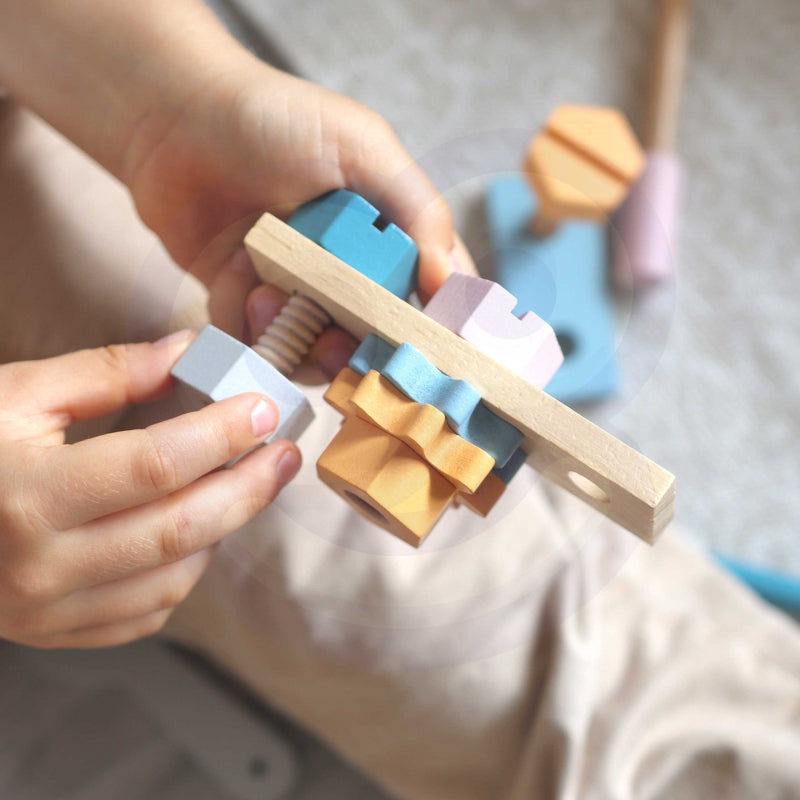 Medinių įrankių dėžė Viga PolarB