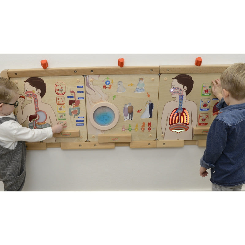 MASTERKIDZ edukacinė lenta, kvėpavimo sistema